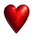 heart