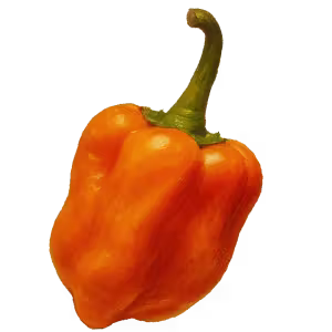 habanero